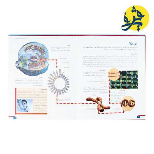 Charger l'image dans la visionneuse de la galerie, الموسوعة الشاملة لجسم الإنسان 5 مجلدات