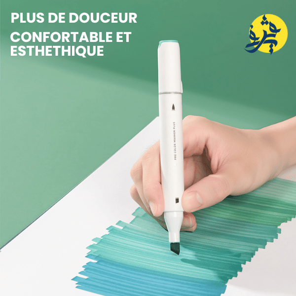 Marqueur pointe souple et double tête à base d'alcool boite de 80 NUSIGN - DELI REF.NS736-80