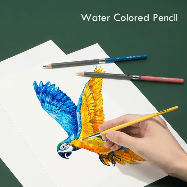 Ensemble de 72 crayons de couleur Aquarelle Professionnelle  NUSIGN - DELI