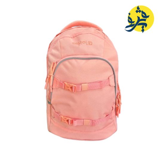 SAC A DIS 17" ERGONOMIQUE - CRISTAL CR-3616