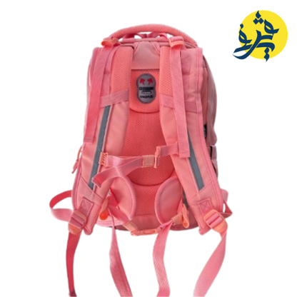 SAC A DIS 17" ERGONOMIQUE - CRISTAL CR-3616