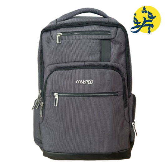 SAC A DOS PORTE PC PROFESSIONEL GRIS - CRISTAL REF.CR-4814