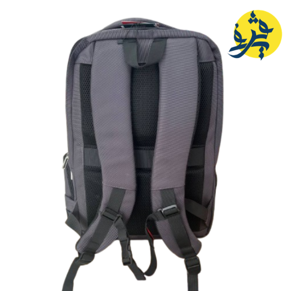 SAC A DOS PORTE PC PROFESSIONEL GRIS - CRISTAL REF.CR-4814