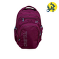Sac a dos adulte porte pc dorsale - CRISTAL