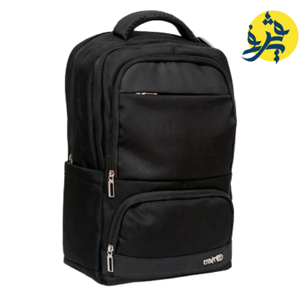 SAC A DOS PORTE PC CRISTAL PROFESSIONNEL