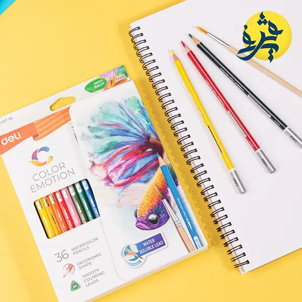 12 Crayon de couleur aquarelle Color Emotion - DELI