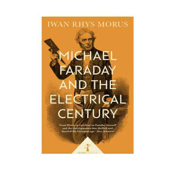 Michael Faraday and the Electrical Century (Icon Science)