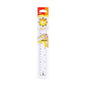 REGLE Transparente DELI -20 CM- - Guerfi Store